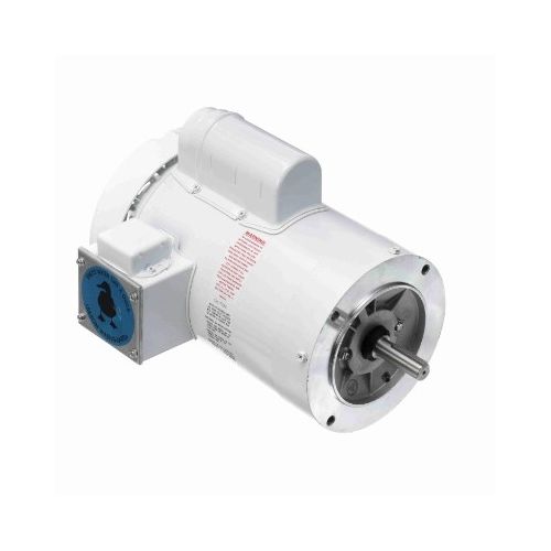 C6C17WC6G_White Epoxy General Purpose Washdown Motor 1
