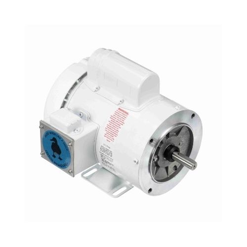 C6C17WK4N_White Epoxy General Purpose Washdown Motor 1