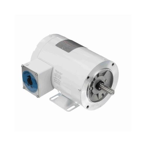 C6T11VK1D_White Epoxy General Purpose Washdown Motor 1