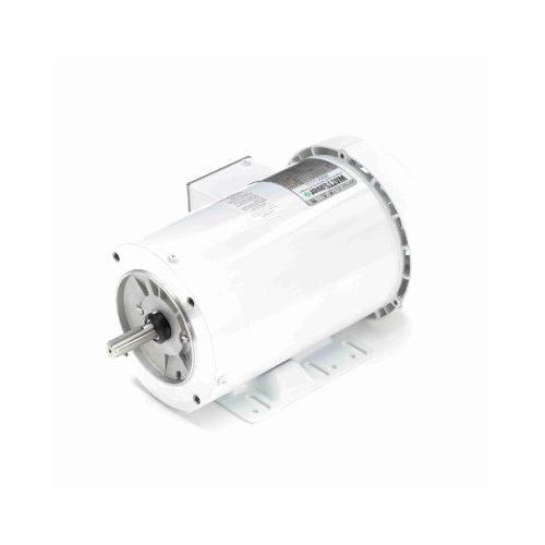 C6T11WK11A_White Epoxy General Purpose Washdown Motor 1