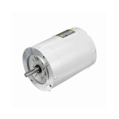 C6T17VC1J_White Epoxy General Purpose Washdown Motor 1