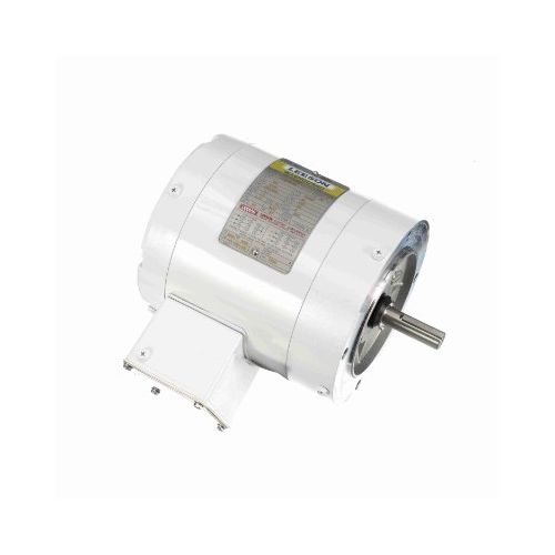 C6T17VC5H_White Epoxy General Purpose Washdown Motor 1
