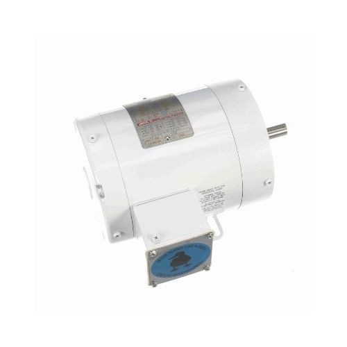 C6T17VK1H_White Epoxy General Purpose Washdown Motor 1