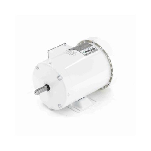 C6T17WB18A_White Epoxy General Purpose Washdown Motor 1