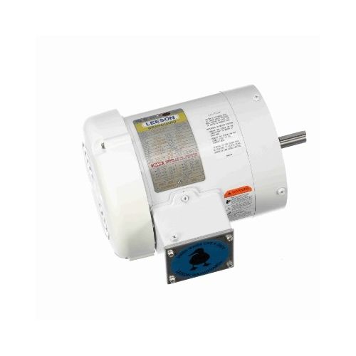 C6T17WC24C_White Epoxy General Purpose Washdown Motor 1