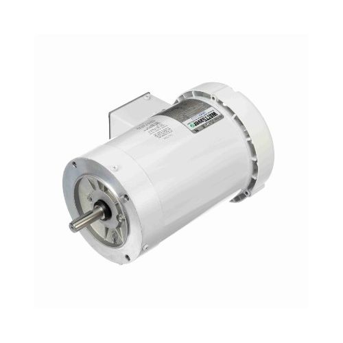 C6T17WC380A_White Epoxy General Purpose Washdown Motor 1