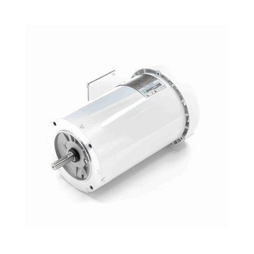 C6T17WC383A_White Epoxy General Purpose Washdown Motor 1