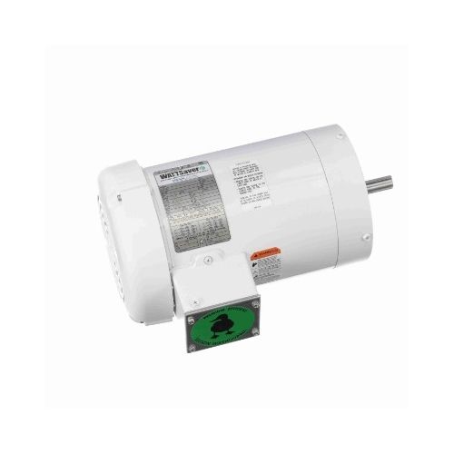C6T17WC51A_White Epoxy General Purpose Washdown Motor 1