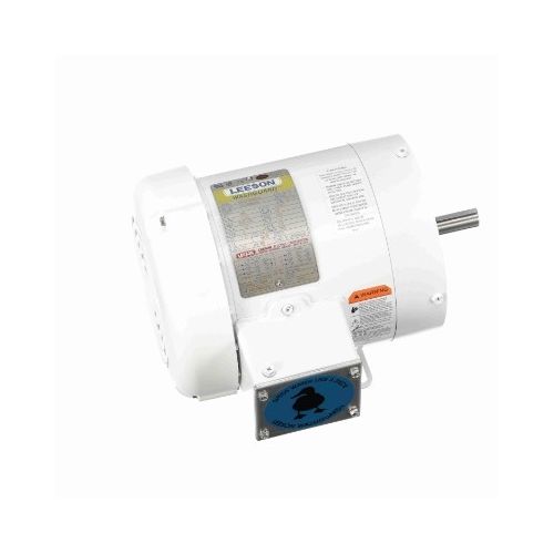 C6T17WK2J_White Epoxy General Purpose Washdown Motor 1