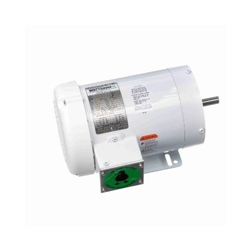 C6T17WK44A_White Epoxy General Purpose Washdown Motor 1