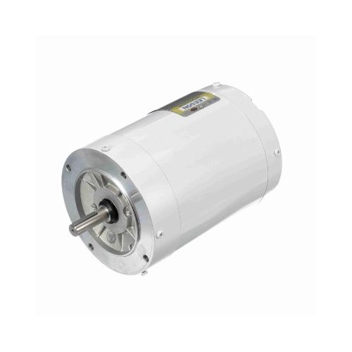 C6T34VC1J_White Epoxy General Purpose Washdown Motor 1