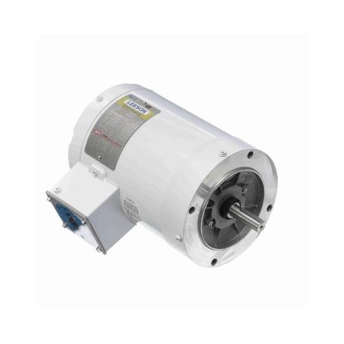 C6T34VC2J_White Epoxy General Purpose Washdown Motor 1