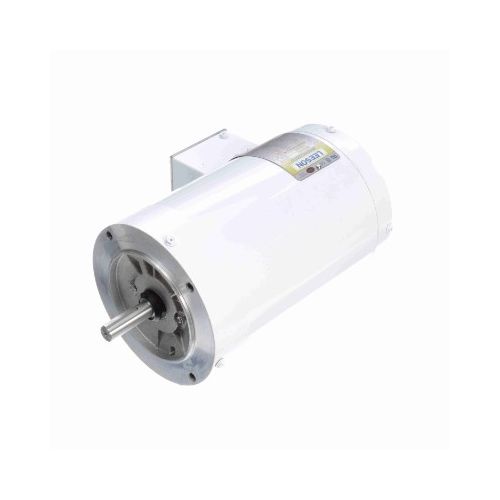 C6T34VC3J_White Epoxy General Purpose Washdown Motor 1