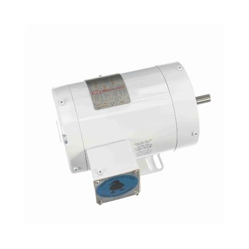 C6T34VK4H_White Epoxy General Purpose Washdown Motor 1