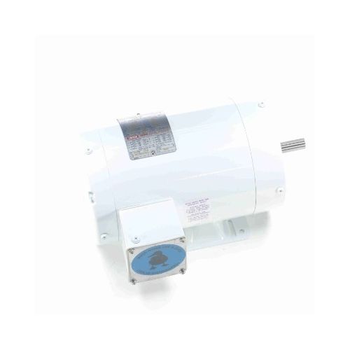 C6T34VK5H_White Epoxy General Purpose Washdown Motor 1