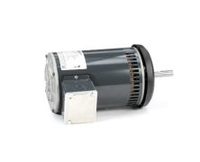  056T11D5209_Marathon Motor1