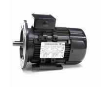 080T17FH15514_IEC General Purpose Motor 1