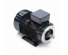 090LT17FH6419_IEC General Purpose Motor 1
