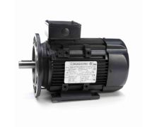 090LT17FH6519_IEC General Purpose Motor 1