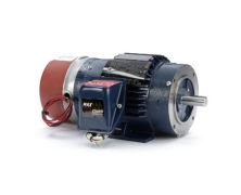 143THTN8036_Inverter_Duty_Variable_Speed_Motor 1