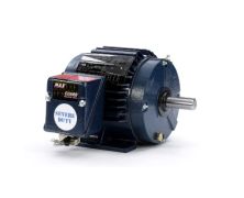 143TTTN6563_Severe Duty Motor_1