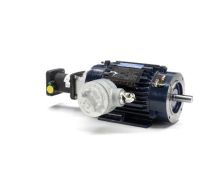 145THEN8034_Inverter_Duty_Variable_Speed_Motor 1