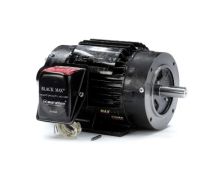 145THTN6046_Inverter_Duty_Variable_Speed_Motor 1
