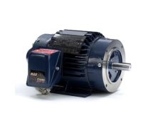 145THTN8037_Inverter_Duty_Variable_Speed_Motor 1