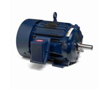 182THFS19101_Severe Duty Motor_1