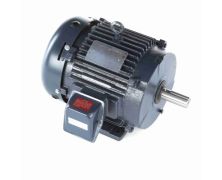 Marathon General Purpose Three Phase (TEFC) 1