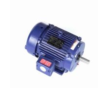 213TTFS7238_Marathon Motor_1