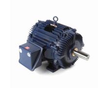 213TTTN16585A_Mill & Chemical Severe Duty Motor 1