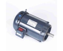Marathon General Purpose Three Phase (TEFC) 1