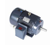 Marathon General Purpose Three Phase (TEFC) 1
