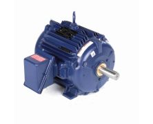 254TTTNA16580AA_Mill & Chemical Severe Duty Motor 1