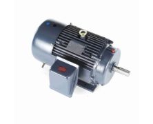 256TTFCD6005_Marathon General Purpose Three Phase (TEFC) 1