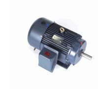 256TTFCD6030_Marathon General Purpose Three Phase (TEFC) 1