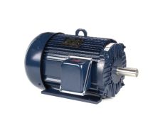 256TTFL16033_Marathon General Purpose Three Phase (TEFC) 1