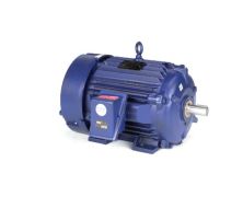 286TSHFNA9001_Severe Duty Motor_1