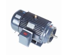 286TSTFCD6003_Marathon General Purpose Three Phase (TEFC) 1