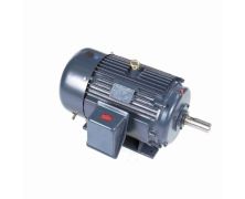 286TTFCD6030_Marathon General Purpose Three Phase (TEFC) 1