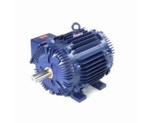 364TTTS14531AP_Mill & Chemical Severe Duty Motor 1