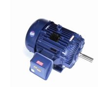 405THFS19101_Severe Duty Motor