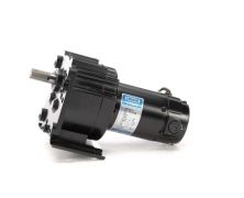 M1115029.00_DC Parallel Shaft Gearmotor