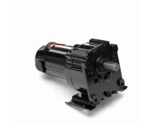 M1115024.00_DC Parallel Shaft Gearmotor 1