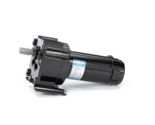 M1125038.00_DC Parallel Shaft Gearmotor 1