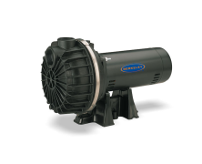Berkeley BPDH15-L, High Head Corrosion-Resistant Self-Priming Sprinkler Pump, 15GPM, 1.5HP, 115/230V, 1PH, 2" Suction, 1-1/2" Discharge