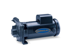 Berkeley Straight Centrifugal Pump	