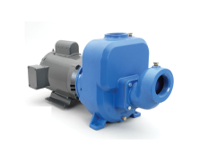 Goulds 30SPH10, Centrifugal Pump, SP Series, 3 HP, 115/230 Volts, 1 Phase, 1-1/2" NPT Discharge, Cast Iron