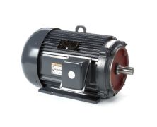 AF4B30TSC61Y_Leeson General Purpose Three Phase Enclosed (TEFC) 1